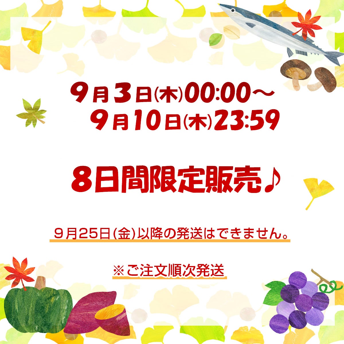 会員特別価格で4,050円OFF！8,030円→3,980円】このみみ9月の福袋 （全