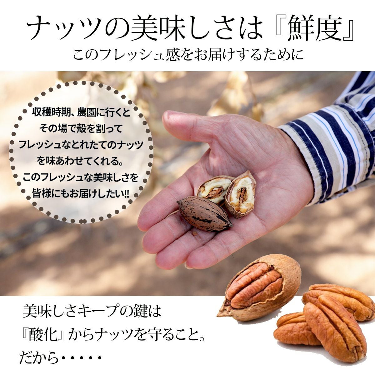 ナッツページ 34g ミックスナッツ【Eｻｲｽﾞ】 | すべての商品 | でん六 オンライン